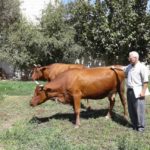 WhatsApp Image 2021-09-23 at 2.18.42 PM (2) فريقا عمل من خبراء أكساد / زيارة ميدانية لمحافظتي ريف دمشق وحمص