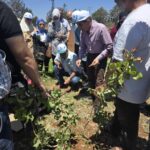 2 دورة تدريبية متخصصة للمهندسين الزراعيين حول الفستق الحلبي في درعا