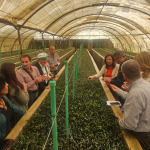 WhatsApp-Image-2025-10-30-at-9.50.45-AM.webp "أكساد" ولبنان يعززان شراكتهما لتحقيق الأمن الغذائي