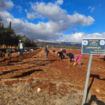 WhatsApp-Image-2025-11-19-at-11.39.52-AM-1.webp أكساد تطلق مشروعاً رائداً لزراعة الصبّار الأملس في لبنان لتعزيز الأمن الغذائي ومكافحة التصحر